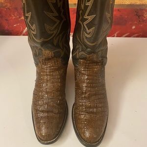 Justin Hornback Lizard